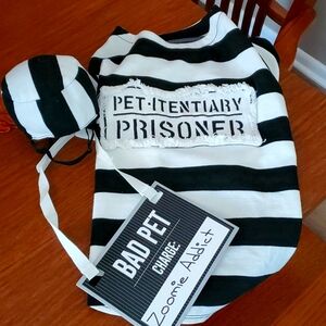 Like New Bad Pet Halloween costume size XL